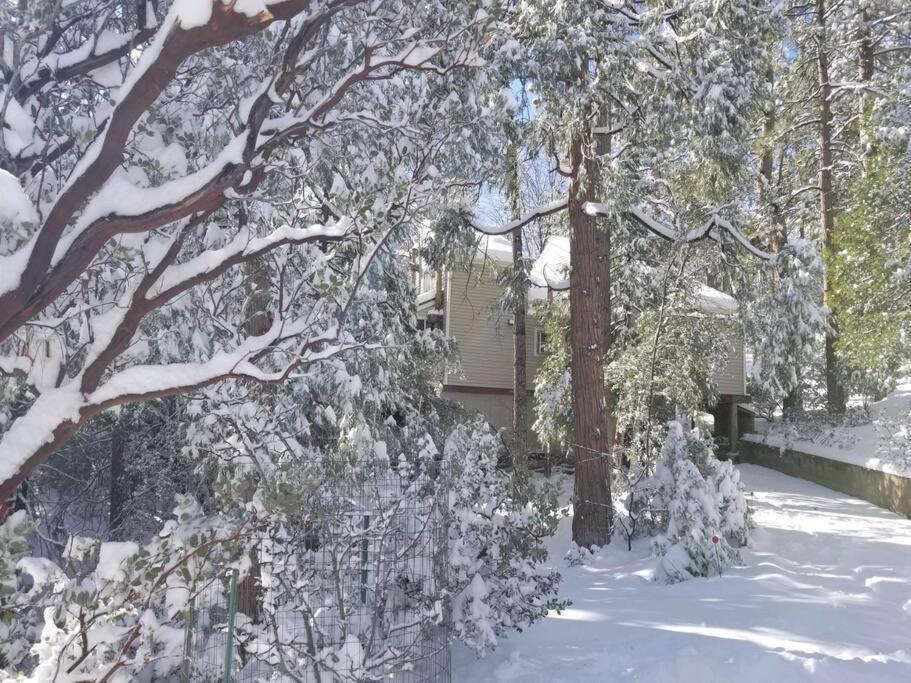 Casa De Los Arboles! Delight & Solitude Abound! Pine Cove Exterior foto