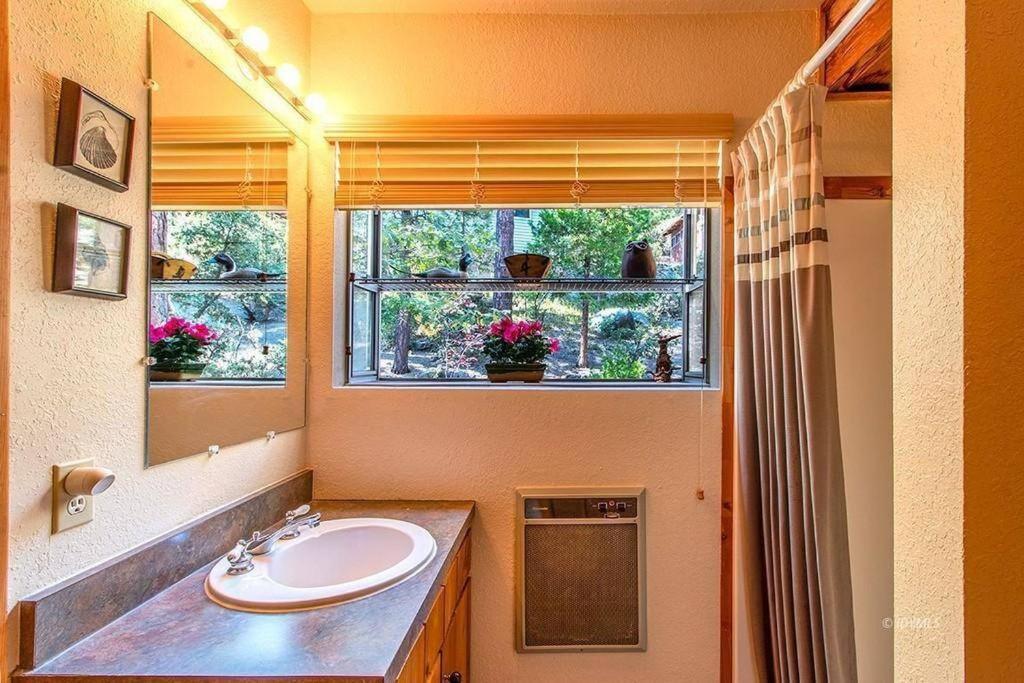 Casa De Los Arboles! Delight & Solitude Abound! Pine Cove Exterior foto